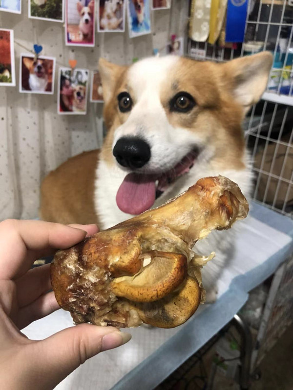 牛腕骨狗零食幼犬泰迪二哈磨牙双排牙洁齿烘干耐啃真牛膝骨