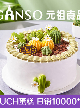 元祖生日蛋糕多肉森林蛋糕夹层鲜奶聚会甜品食品创意糕点同城配送