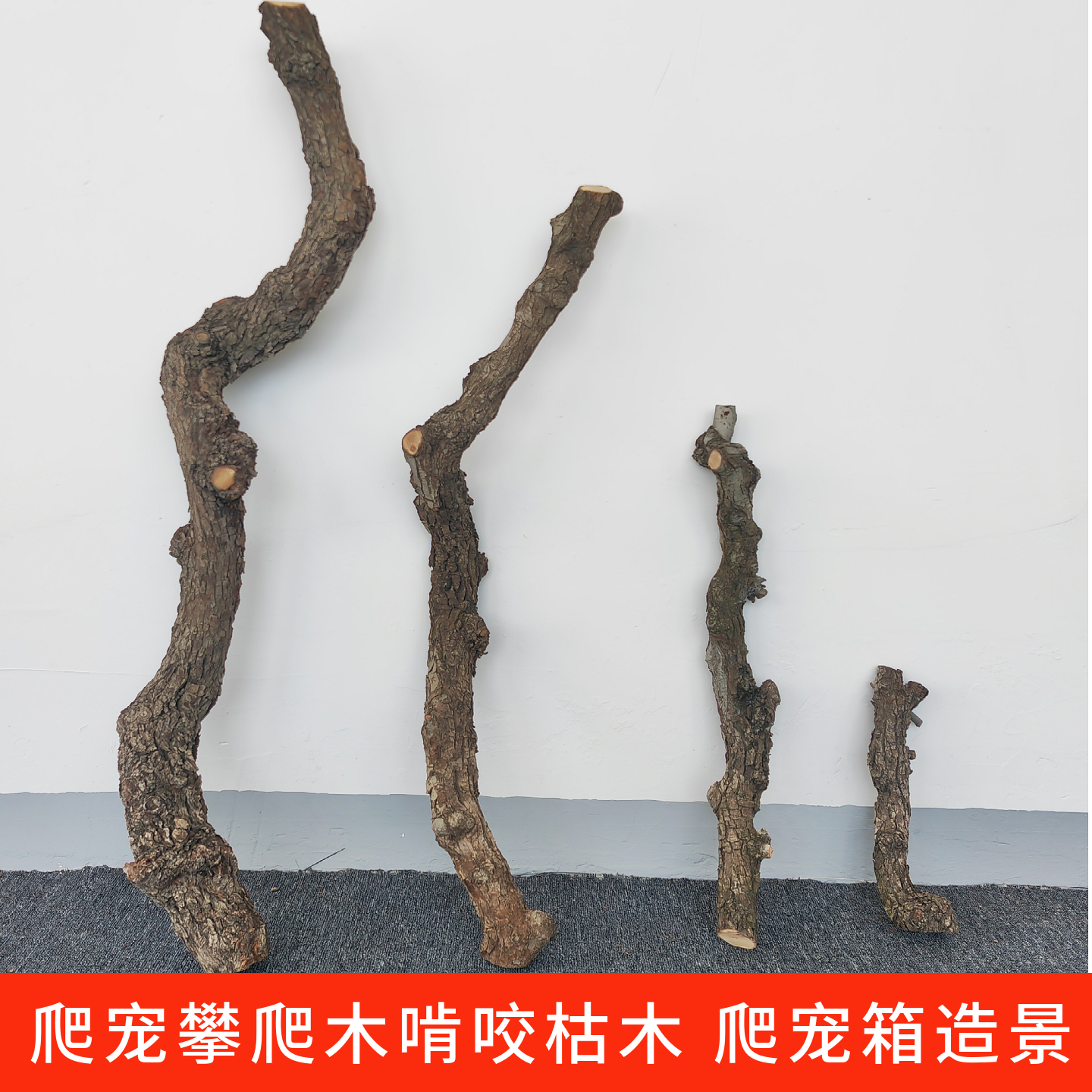 爬宠保温箱鱼缸造景爬虫树干树根
