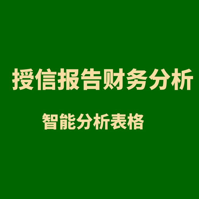 授信报告财务分析智能表格exc报表
