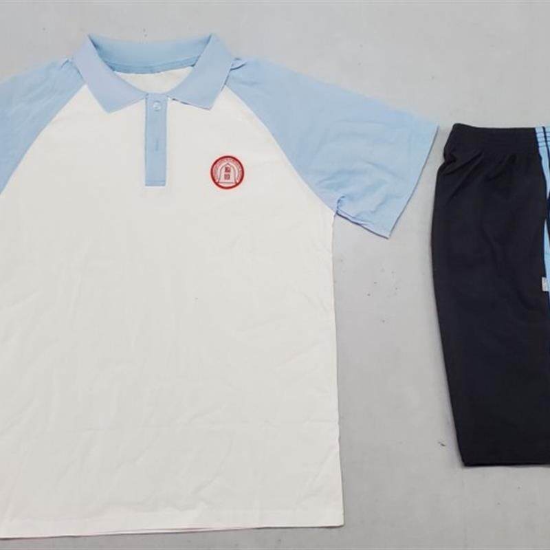 东莞市石龙龙城外国语学校夏季校服