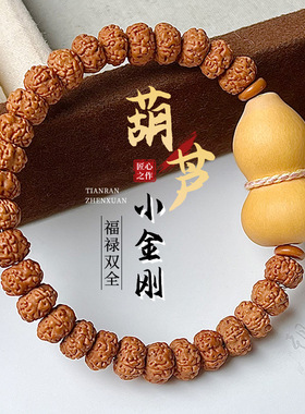 货源葫芦小金刚菩提手串设计款单圈手饰盘玩手链文玩女