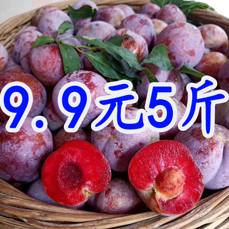 【9.9元5斤】广西三华李当季孕妇新鲜酸脆李子红心李子水果现摘发