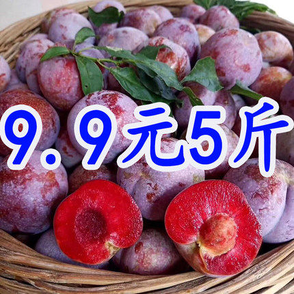 【9.9元5斤】广西三华李当季孕妇新鲜酸脆李子红心李子水果现摘发