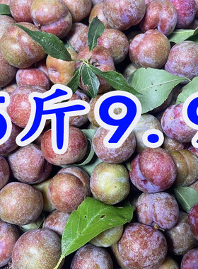 【坏果包赔】现摘现发三华李当季新鲜孕妇水果广西红心李一整箱