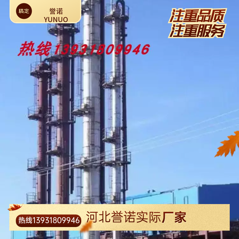 誉诺600mm蒸氨塔脱氨塔侧线汽提脱氨塔石化炼焦兰炭废水mvr蒸发器