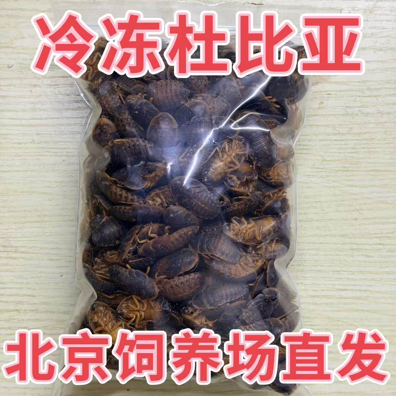北京发货冷冻杜比亚蟑螂幼体饲料蜥蜴鬃狮守宫乌龟蜘蛛鸟类蜜袋鼯