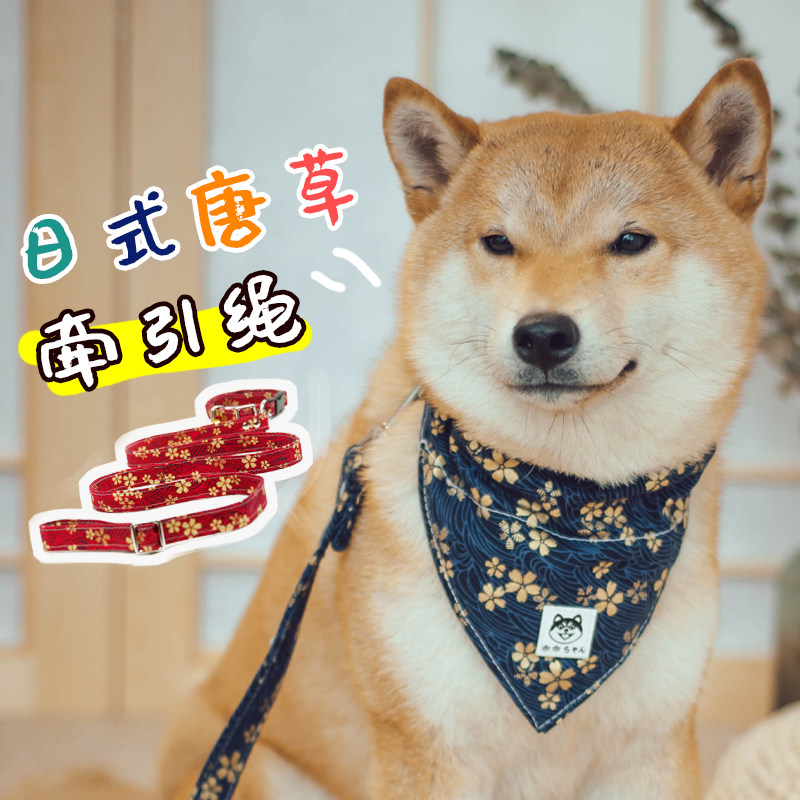 宠物项圈唐草纹狗狗牵引绳防挣脱爆冲泰迪比熊脖圈围脖柴犬狗用品