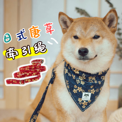 宠物唐草纹项圈狗狗牵引绳脖圈