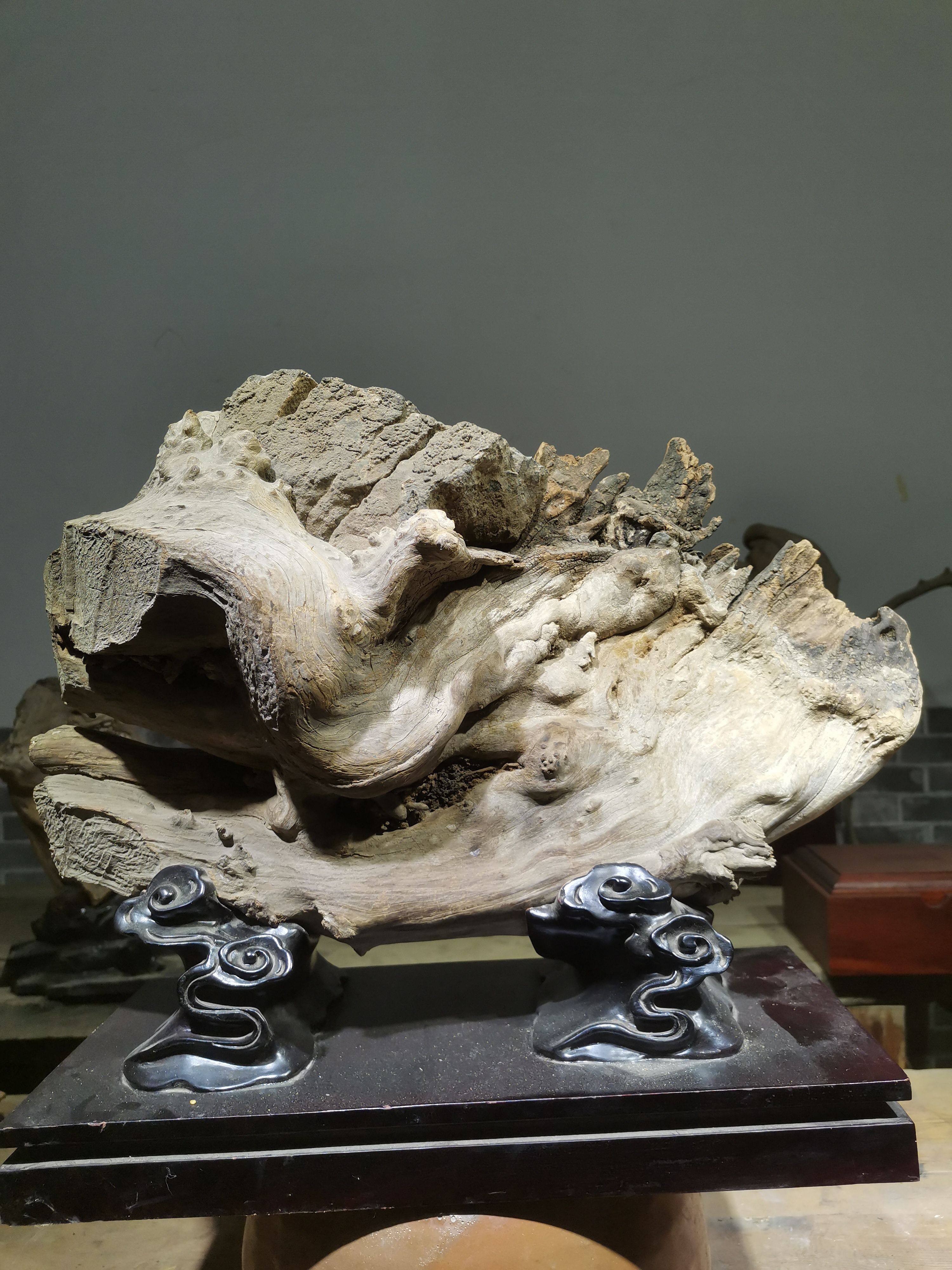 太行崖柏骨料包石造型天然根雕摆件随形原木树根实木雕刻枯木根艺