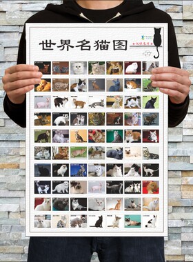 百猫图世界名猫大全中国名猫宠物店挂图喂猫养猫驯养猫咪名字明星