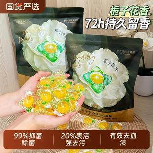 5D五效合一洗衣凝珠强力去污持久留香氛味柔顺液三护色洗护大师