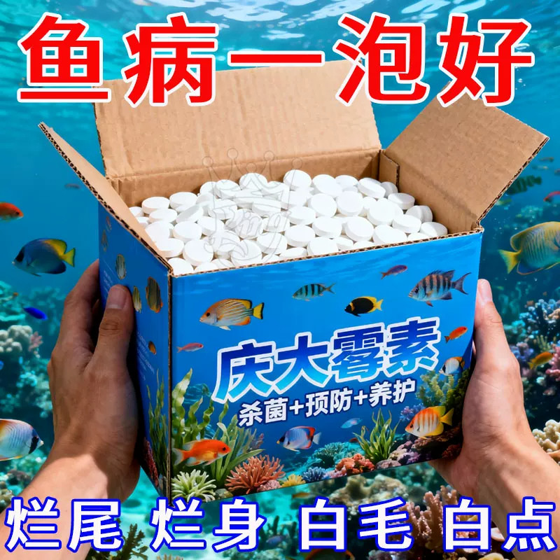 庆大霉素鱼病专用药烂身烂尾白点白毛掉磷蒙眼杀菌消炎康硝化细菌