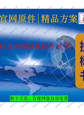 IT公司项目投标书45页