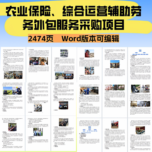 农业保险、综合运营辅助劳务外包服务采购项目投标文件