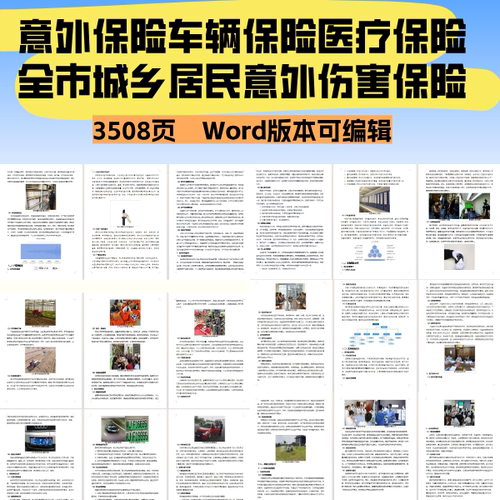 意外保险车辆保险医疗保险全市城乡居民意外伤害保险采购投标文件