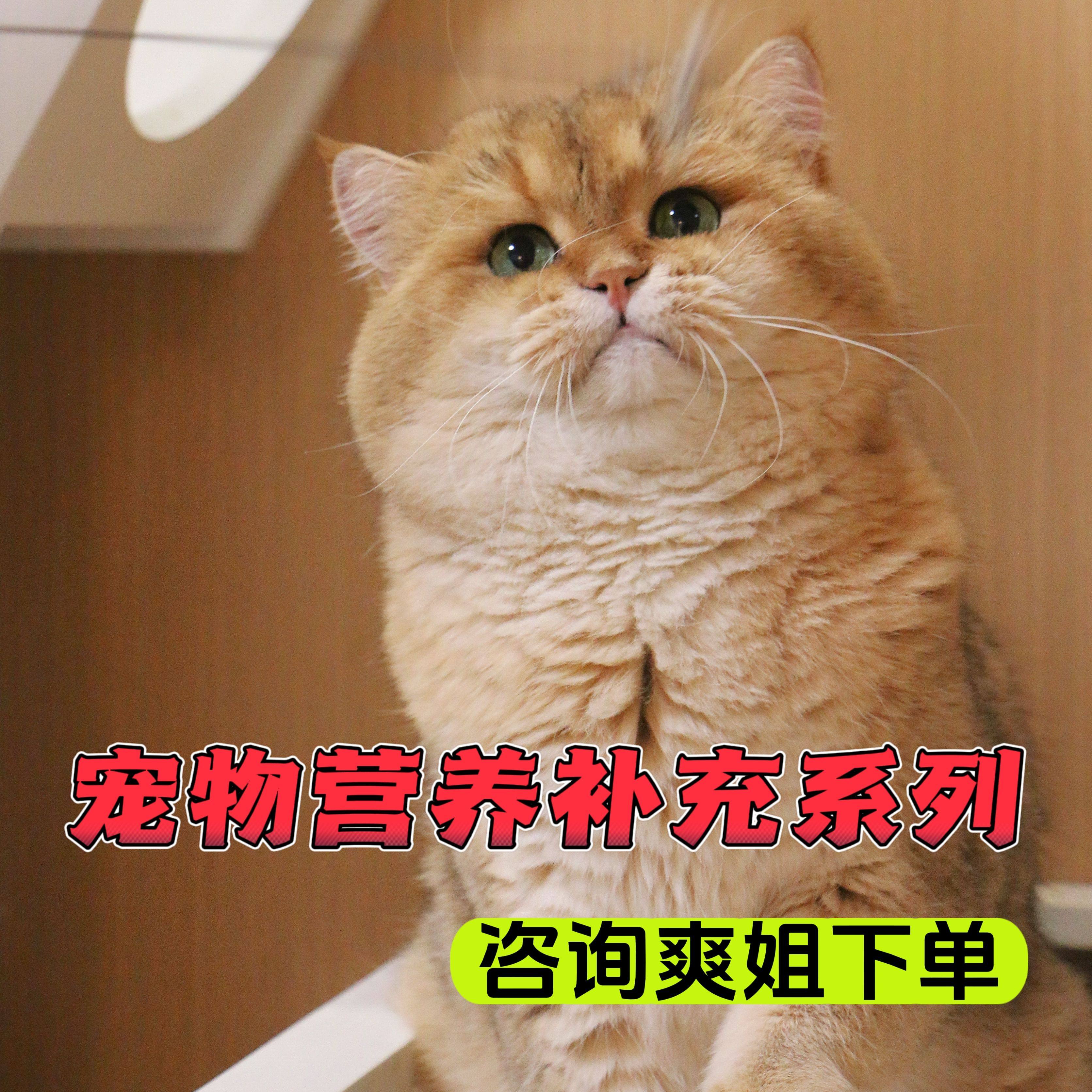 宠物营养补充 丸剂