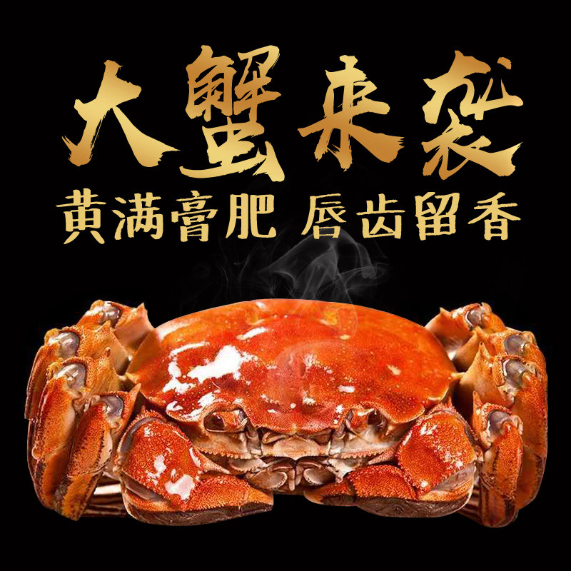 【大蟹来袭】蟹游记精选大闸蟹鲜活10只装公母3.4-4.5/两礼盒装