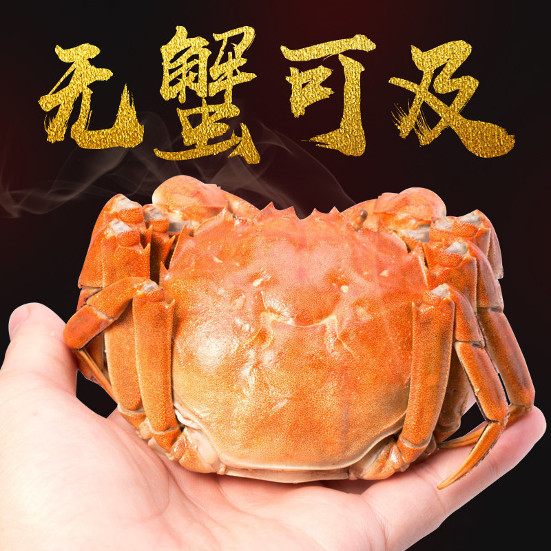 【无蟹可及】北京闪送特大螃蟹现货大闸蟹10只装公母3.6-5.0两,水产肉类/新鲜蔬果/熟食,大闸蟹,淘宝优惠券,粉丝福利购,淘宝优惠卷