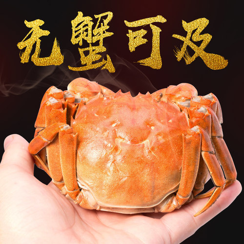 【无蟹可及】北京闪送特大螃蟹现货大闸蟹10只装公母3.6-5.0两