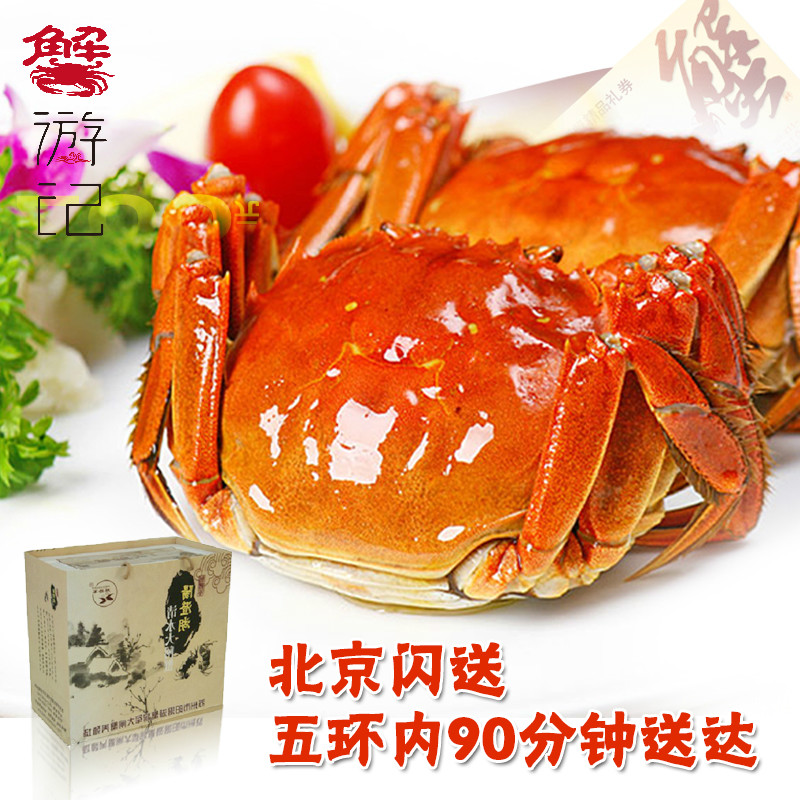 （单只价格）北京闪送单只鲜活大闸蟹现货6只起拍 公母任选