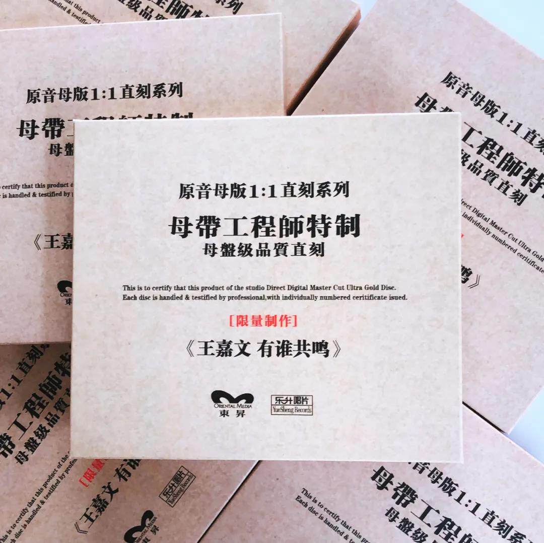 王嘉文 正版母盘直刻CD高品质无损煲机音乐高音质人声发烧试音碟