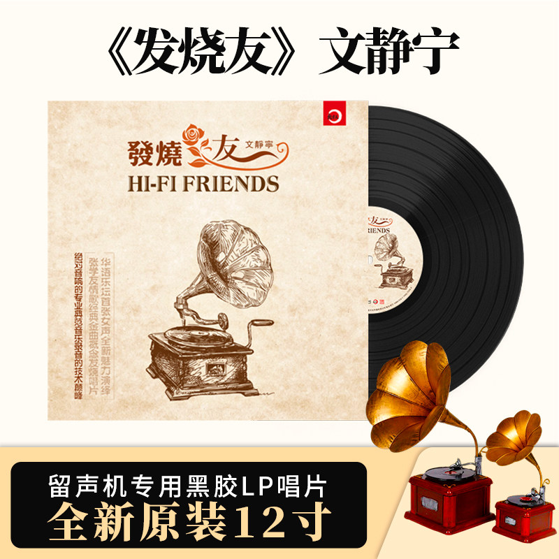 正版HIFI发烧友文静宁LP黑胶唱片33转演绎张学友情歌12寸黑胶唱盘