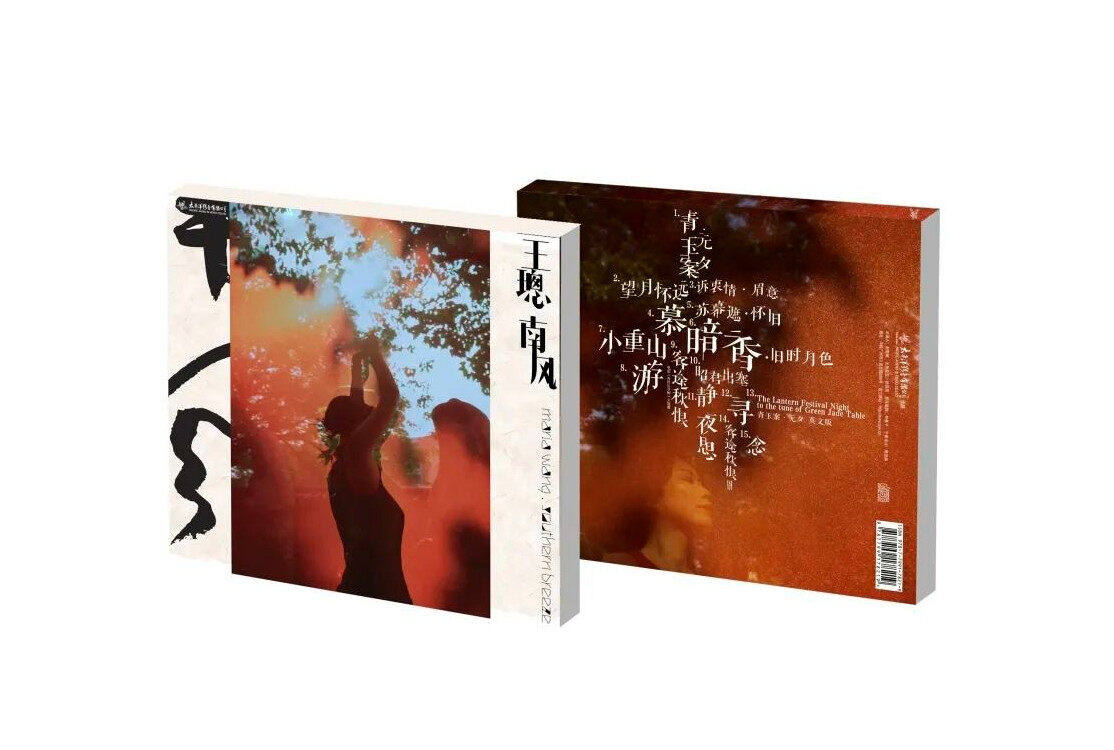 官方正版 王璁专辑 《南风》 粤语 世界音乐 CD唱片汽车载光盘