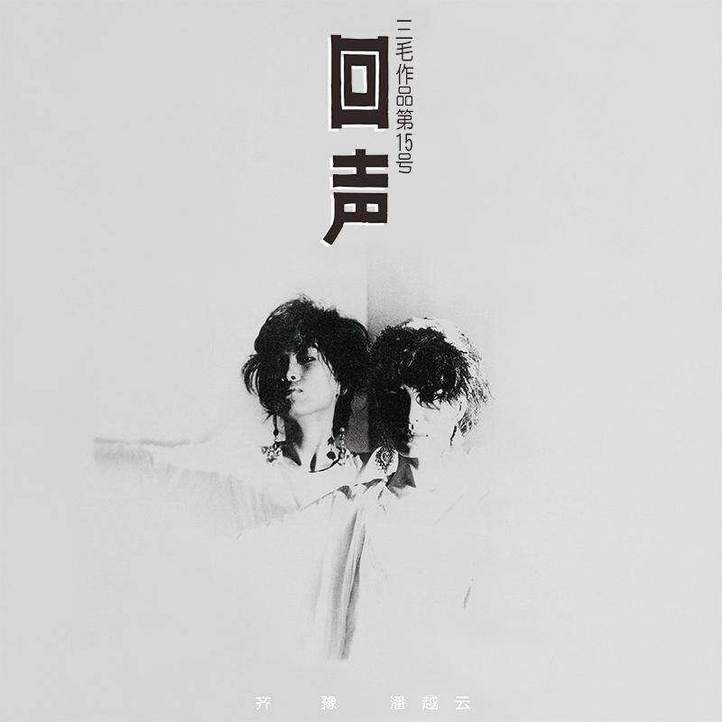 官方正版 齐豫·潘越云《回声》LP黑胶唱片 首批编号版 经典五大