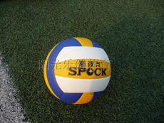 Ballon de volley-ball - Ref 2011812 Image 6