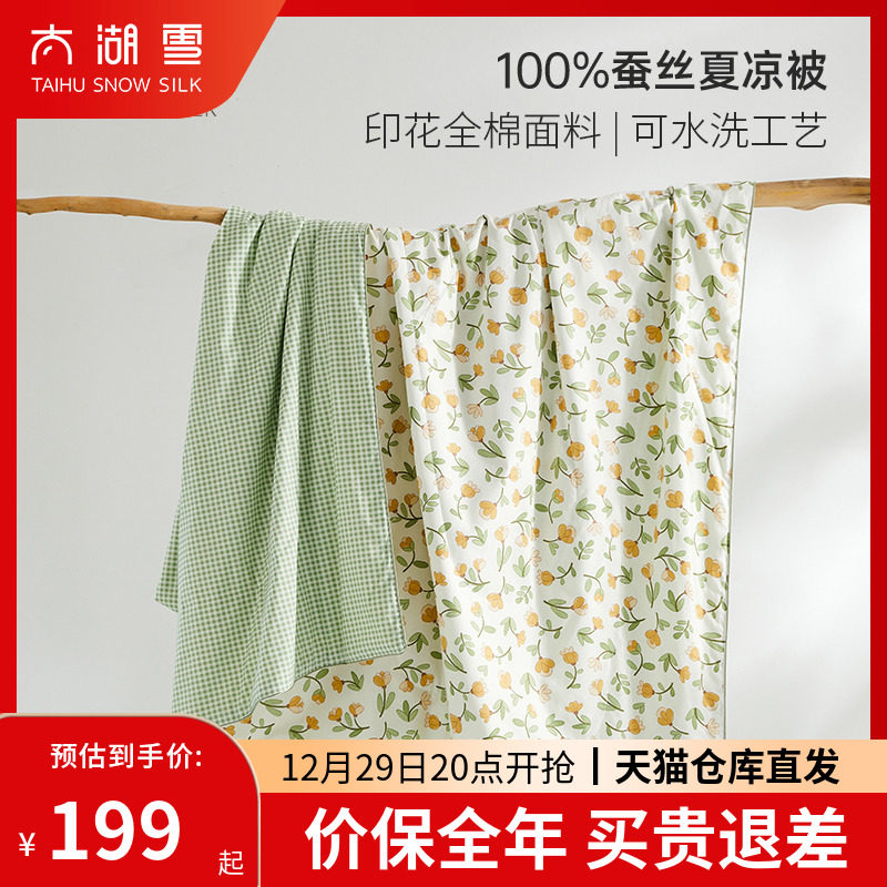 太湖雪蚕丝被夏凉被薄款空调被夏季单人可机洗可水洗薄款被子正品
