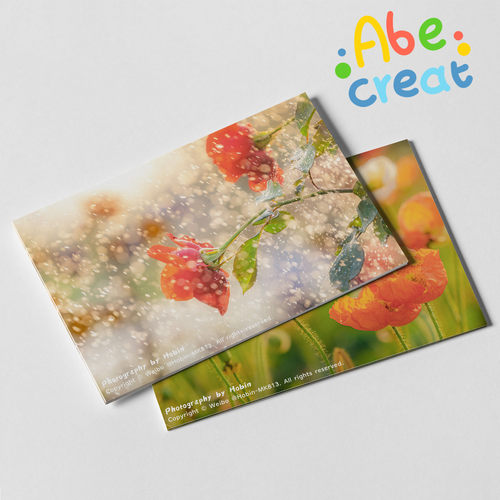 必易羊城赏花地图明信片