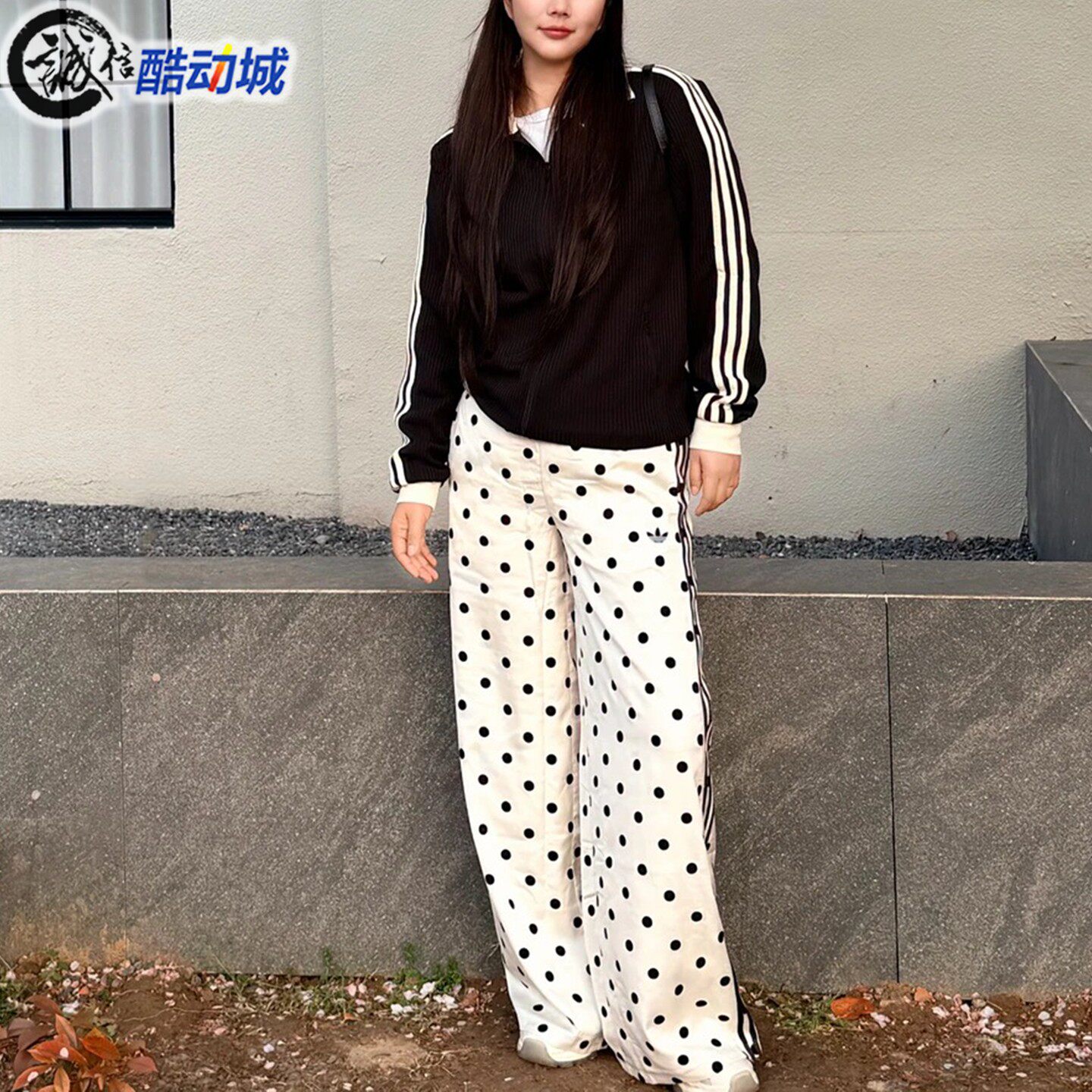 阿迪达斯三叶草女子波点运动裤