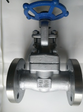 F304材质不锈钢闸阀截止阀Z41W-16PDN10DN15DN20DN25DN32DN40DN50