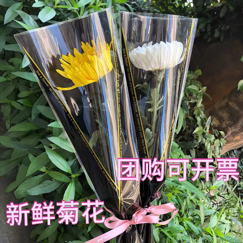 一支黄白菊花精品花束清明节扫墓