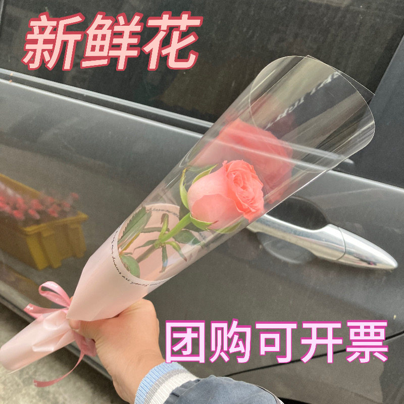全国新鲜玫瑰花康乃馨1单支小花束真花鲜花批发1枝速递情人节