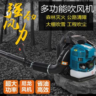 四冲程风力灭火机汽油吹风机吹枣吹雪机大功率森林灭火器 背负式