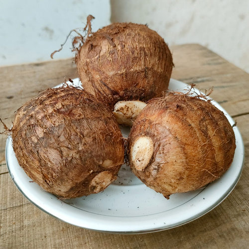 江西小芋头新鲜蔬菜现挖软糯丝滑