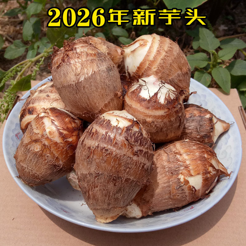 江西芋头新鲜小芋头农家种植蔬菜现挖芋艿芋仔芋子软糯丝滑非香芋