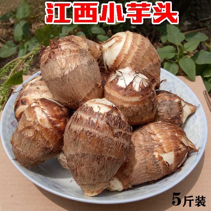 芋头新鲜现挖小芋头口感软糯丝滑