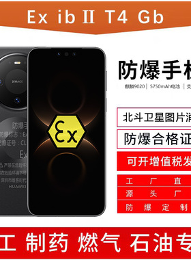 化工厂21KE 防爆手机Mate80本安定制pro医药工业燃气石油库EX粉尘