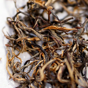 古六山倚邦乔木老树功夫红茶云南晒红2025年明前春滇红散装花香