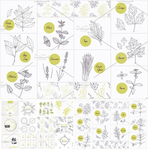A0693矢量AI设计素材 手绘香草植物香料线稿logo插画+psd+svg