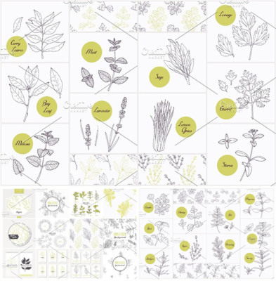 A0693矢量AI设计素材 手绘香草植物香料线稿logo插画+psd+svg