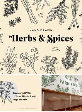 A0401矢量AI设计素材 手绘香草香料药用植物线稿logo插画+png