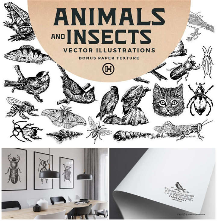 A0456矢量AI设计素材 49个古董版画动物与昆虫logo手绘插图+png