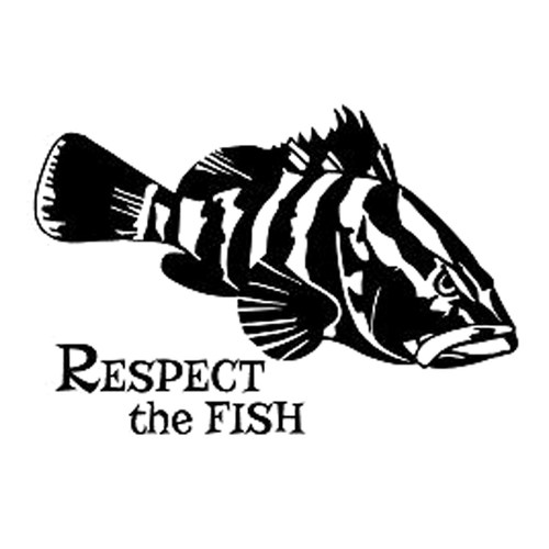 Respect The Fish就该等鱼类动物车贴乙烯贴花装饰