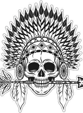 美式箭矛酋长鹰羽毛头饰骷髅摩托机车贴纸贴花#786