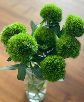 顺丰冷链云南鲜花绿毛球鲜花家庭办公室水养插花婚庆用花小清新