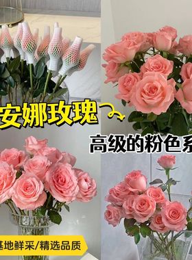 顺丰冷链新店促销戴安娜玫瑰花鲜花插花水养插花斗南基地云南鲜花